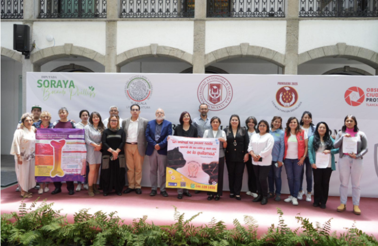 Analizan en el Congreso el maltrato animal